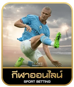 omg333 เดิมพันกีฬา
